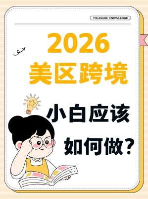 2026美国跨境电商市场深度分析|全解
