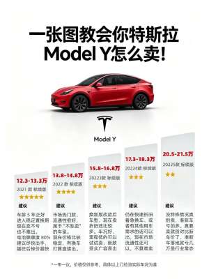 2025款特斯拉Model Y全面评测解析|选购指南