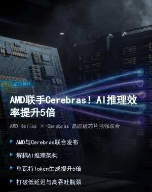 2026年AMD官方+权威机构核心专家观点