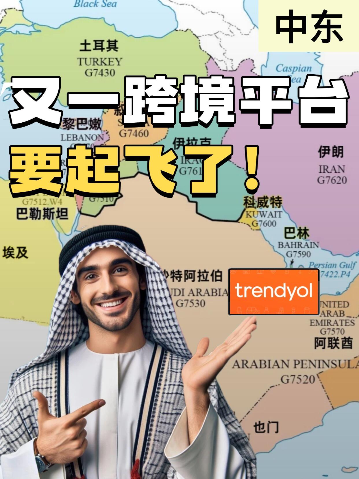 中东市场跨境电商平台深度分析2026