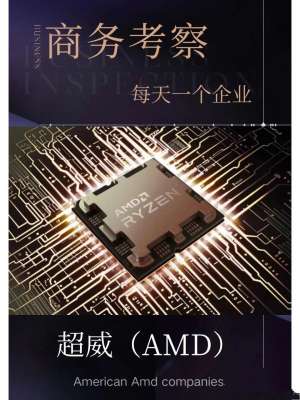 AMD(超威半导体)龙头企业深度解析(2026最新)