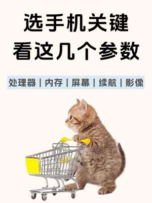 手机评测参数详解|零基础看懂所有配置参数