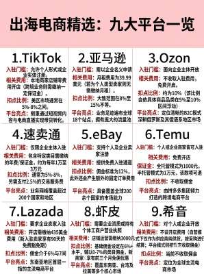 澳洲跨境电商平台市场深度分析报告(2026完整版)