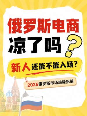 俄罗斯跨境电商平台市场深度分析报告(2026最新)