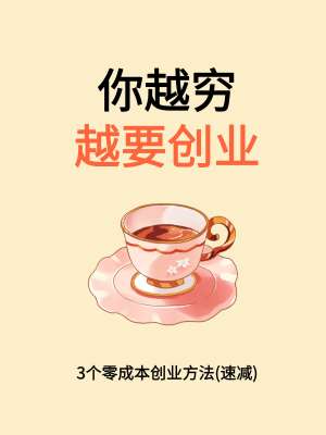 小成本创业从入门到精通|零基础全套实操教程