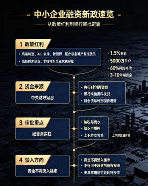 中小企业融资担保公司2026高质量发展整体解决方案