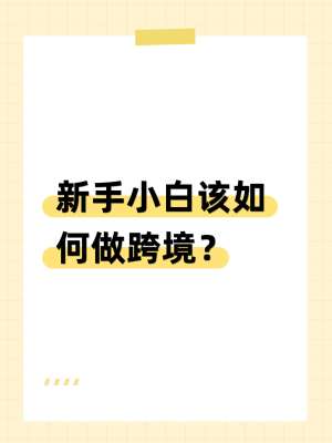 跨境电商运营完整指南(2026最新零基础全流程落地版)