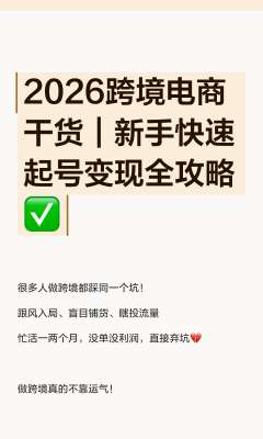 跨境电商运营新手完整指南(2026最新零基础实操版)