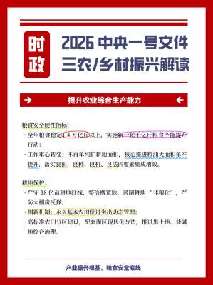 2026农村创业项目最新深度解读|政策全攻略