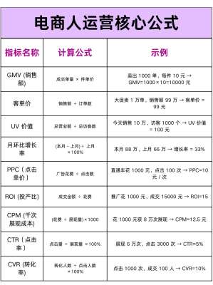 跨境电商运营成功案例完整指南(2026最新|全平台复盘)