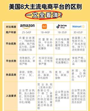 2026美国跨境电商运营市场深度分析