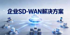 2025最新SD-WAN解决方案对比详解